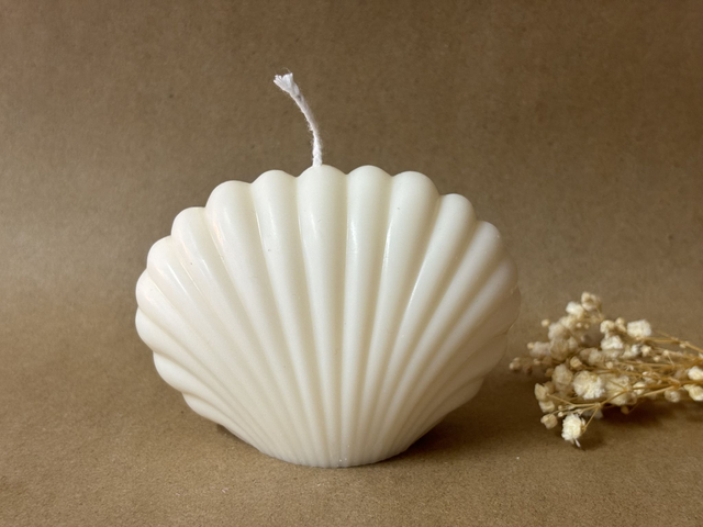 Bougie Coquillage