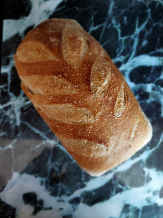 Brioche artiges Toastbrot Pegasus