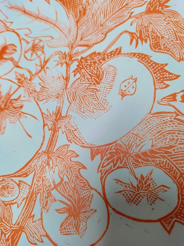 linogravure plant de tomate A4