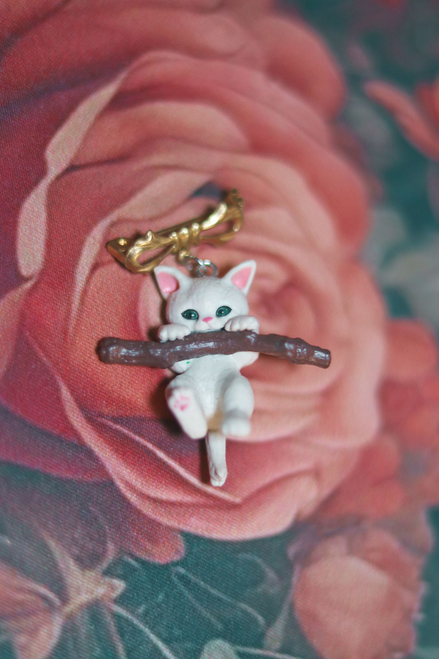 Broche • Pana cota the cat