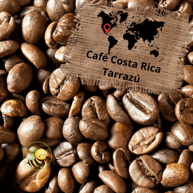 Café Premium Costa Rica Tarrazú