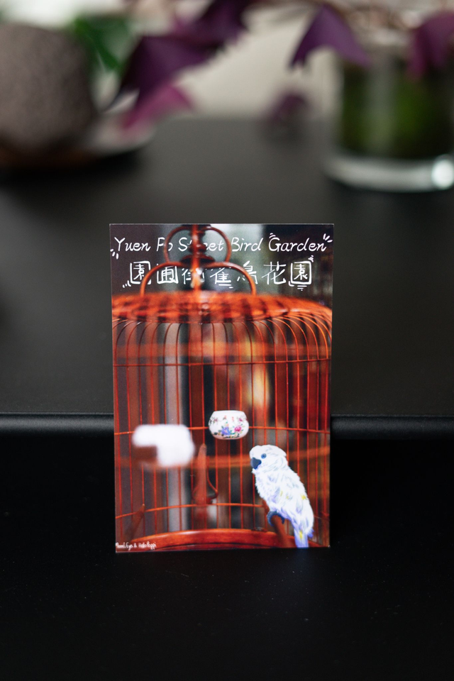 Carte postale &quot;Bird Market&quot;