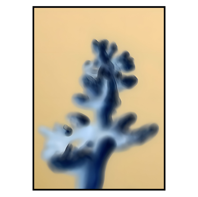 NV 009