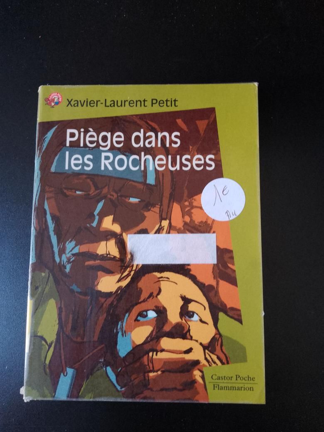 Piège dans les Rocheuses, Xavier-Laurent Petit