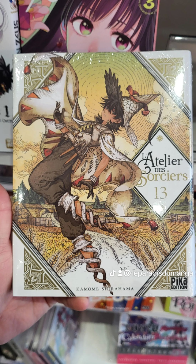 Collector T13 Atelier des Sorciers 