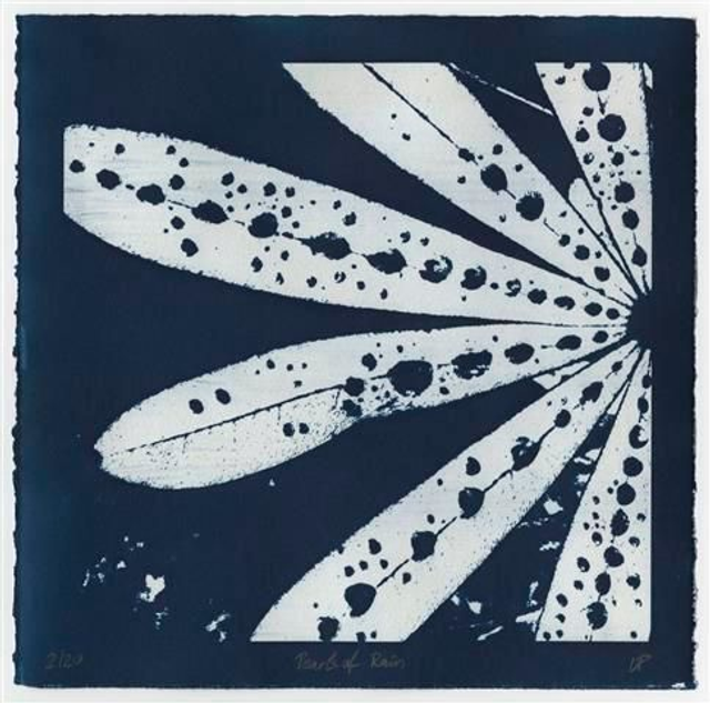 Pearls of Rain, cyanotype