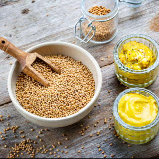 Moutarde Jaune en Grain Bio - 30€/kg