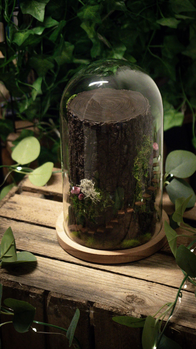 Diorama "Maison des fées des bois"