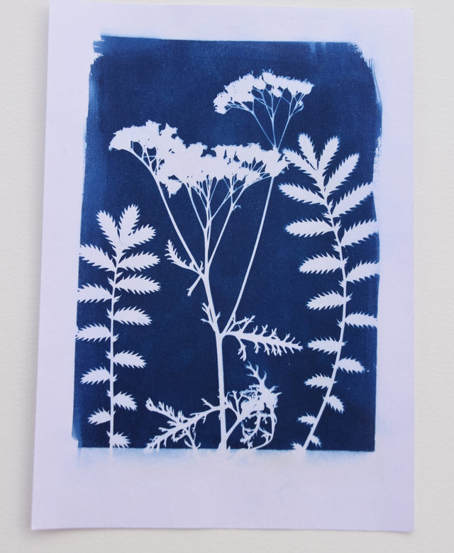 impression végétale