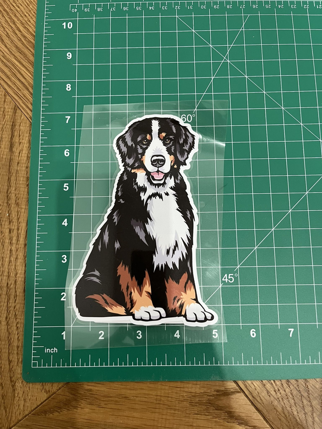 Bernese Mountain Dog Sticker