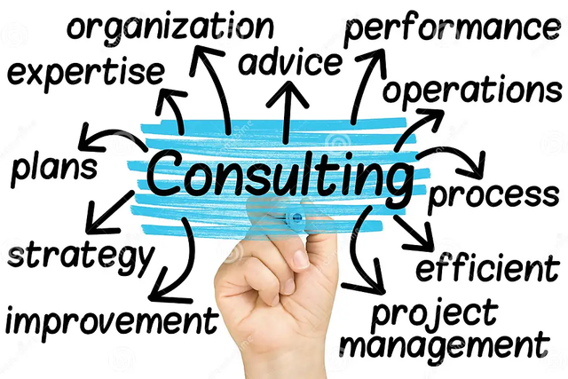 Business Consulting in Detailing System