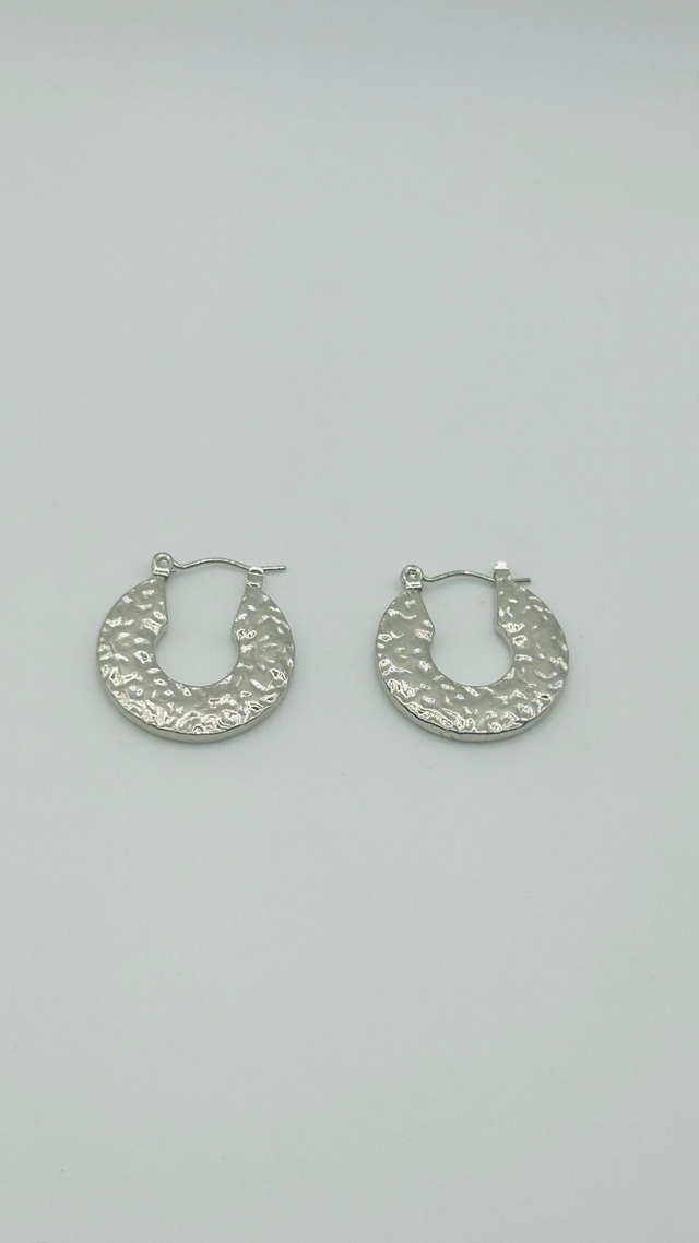 Stainless Steel Earrings (SSE26J)