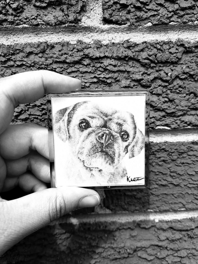 Pug Magnet