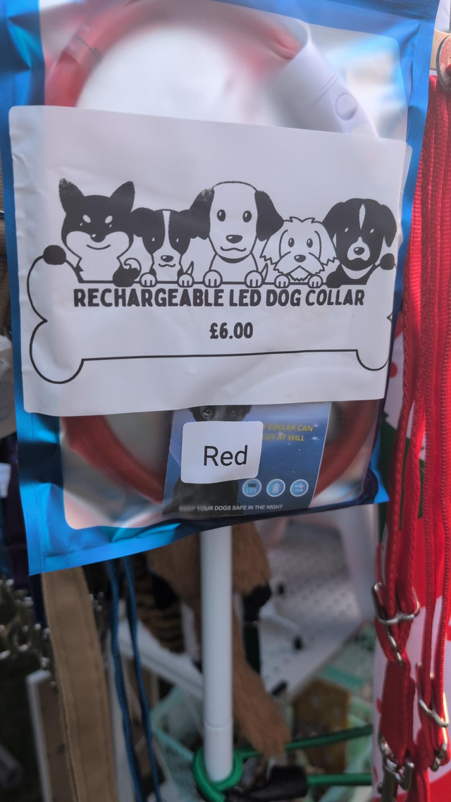 Rechargeable LED Collar 