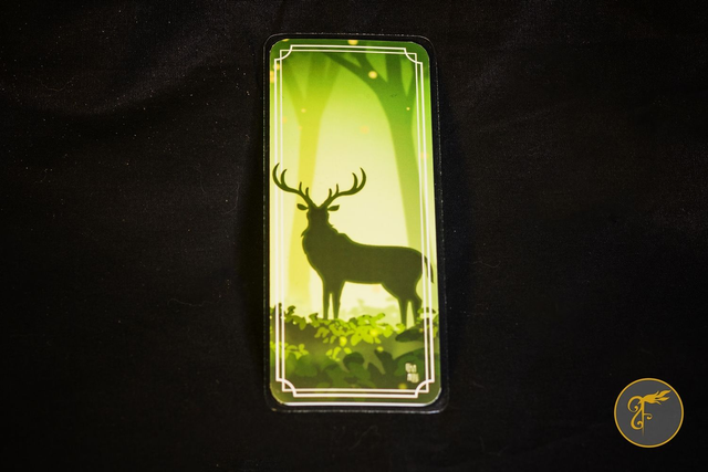 Illustration Forest majesty - Marque-page