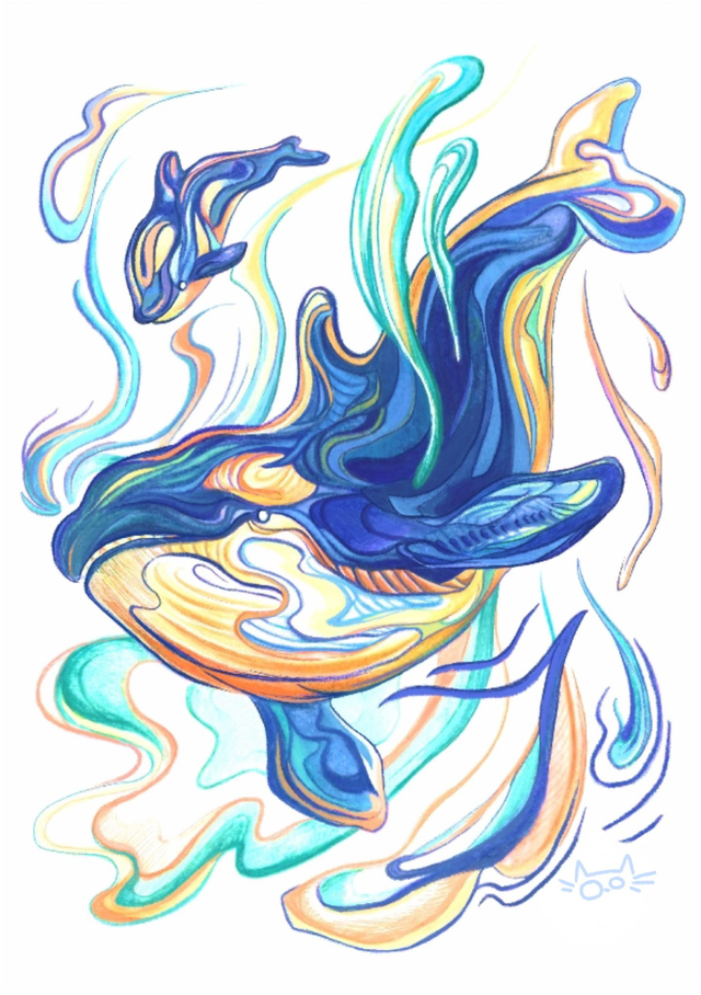 Série animaux marins - Orque et son petit