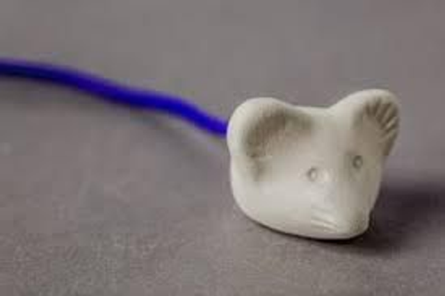 Aromasteen muis met staart