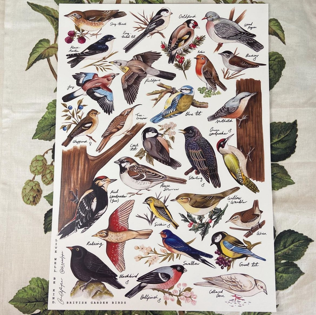 GARDEN BIRDS PRINT