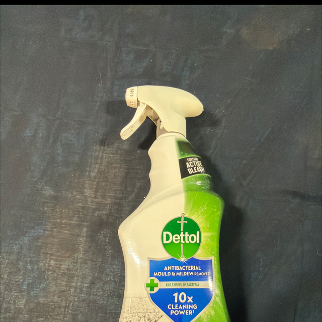 Dettol mold and mildrew
