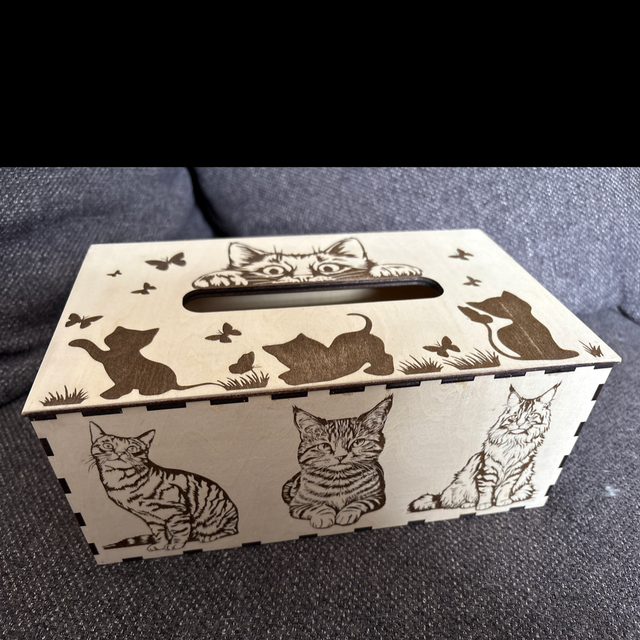 La boîte à mouchoirs chat 