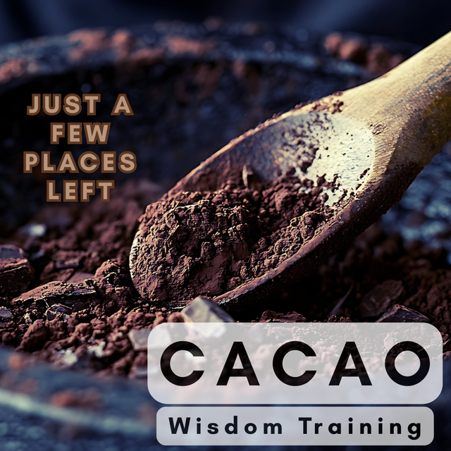 CACAO WISDOM TRAINING - FULL PRICE