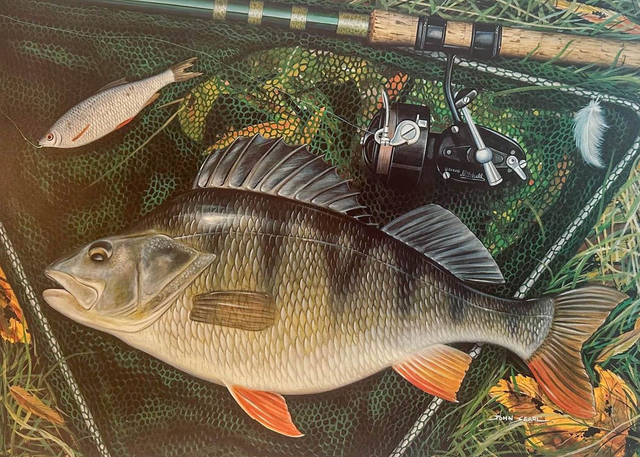 John Searl Print - 'Autumn Perch' 