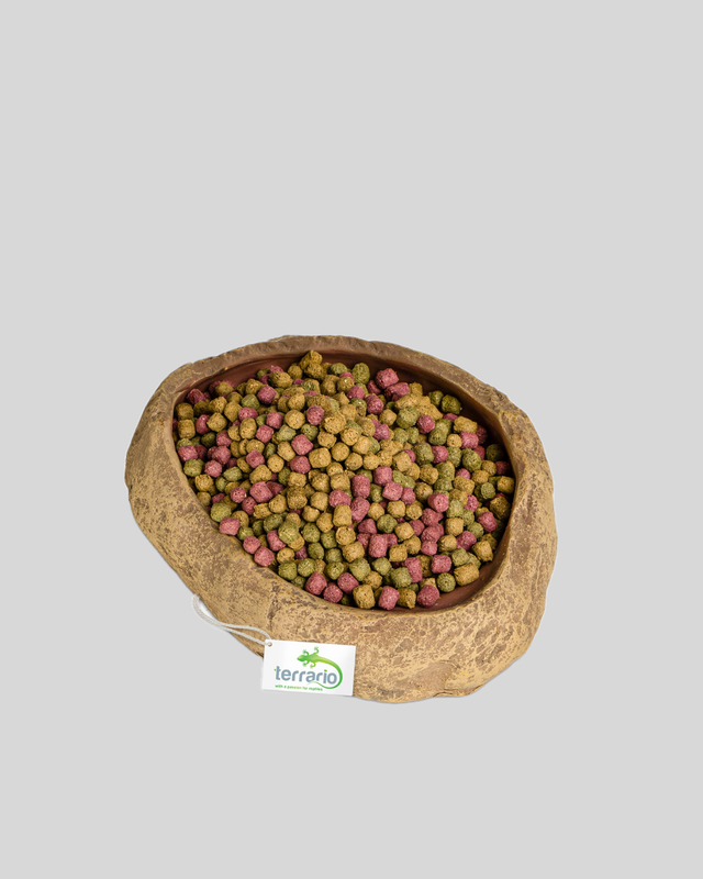 Terrario Rock Oasis M – Miska do terária 14,5x11,5x3,5 cm