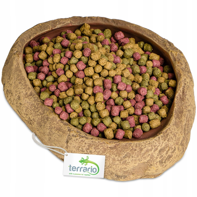 Terrario Rock Oasis M – Miska do terária 14,5x11,5x3,5 cm