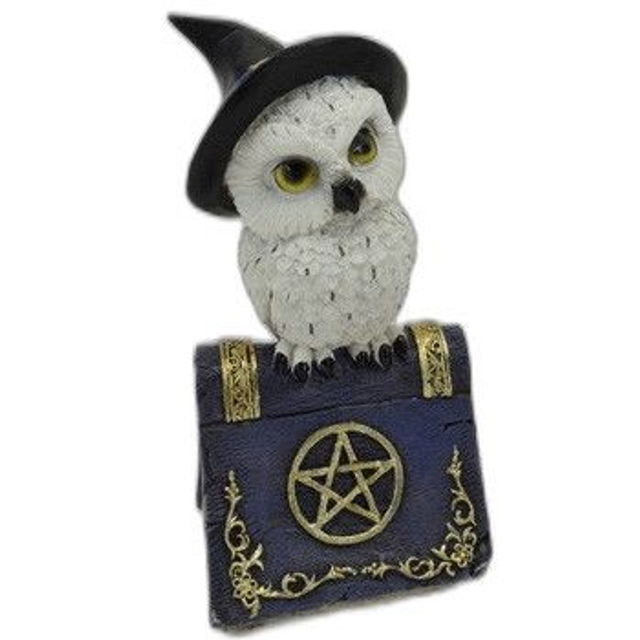 Chouette sur grimoire bleu