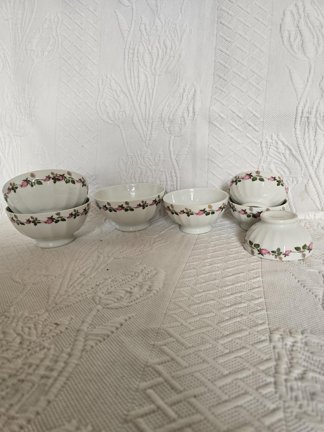 Bols porcelaine Limoges 