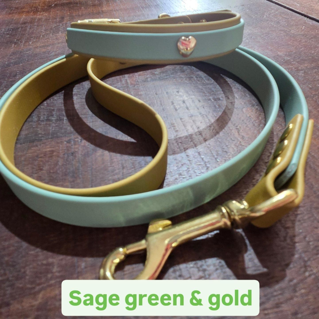 Sage green/gold 2 layer collar &amp; lead