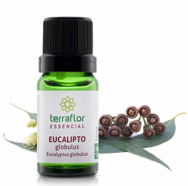 Eucalipto Globulus 10ml - Terra Flor