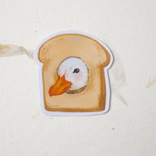 Kaczka w chlebie | ZWIERZĘTA