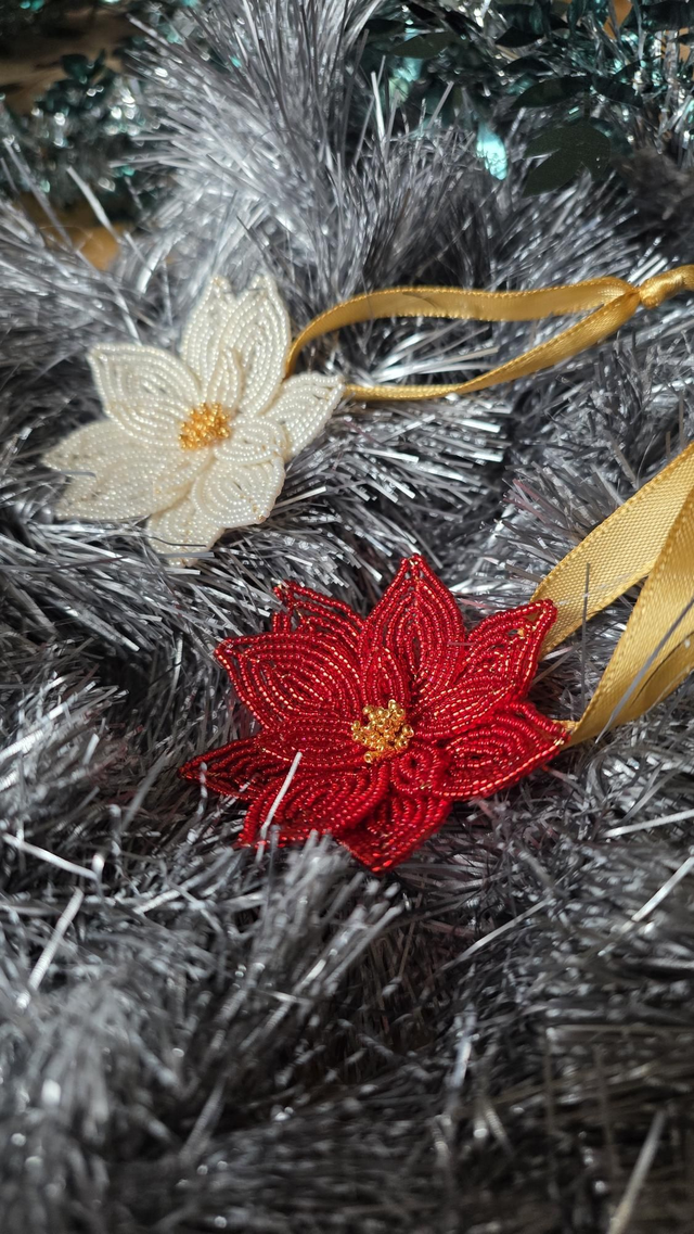 Coffret Suspensions Poinsettias