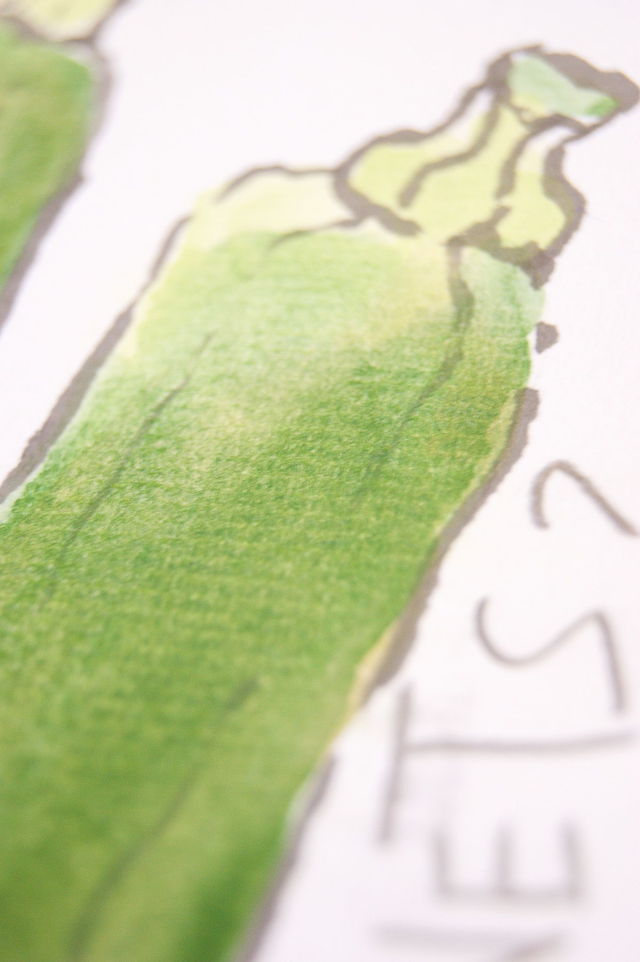 Etegami courgettes