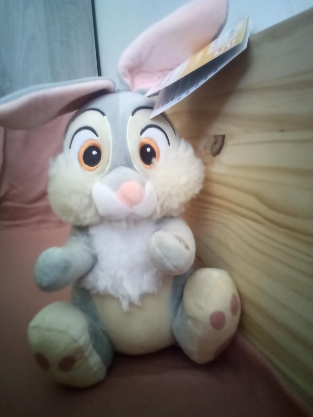 Panpan