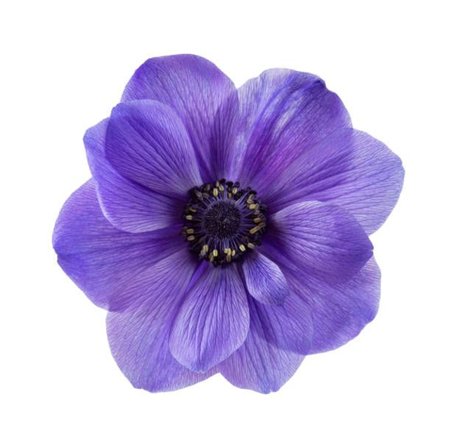 Horloge Fleur