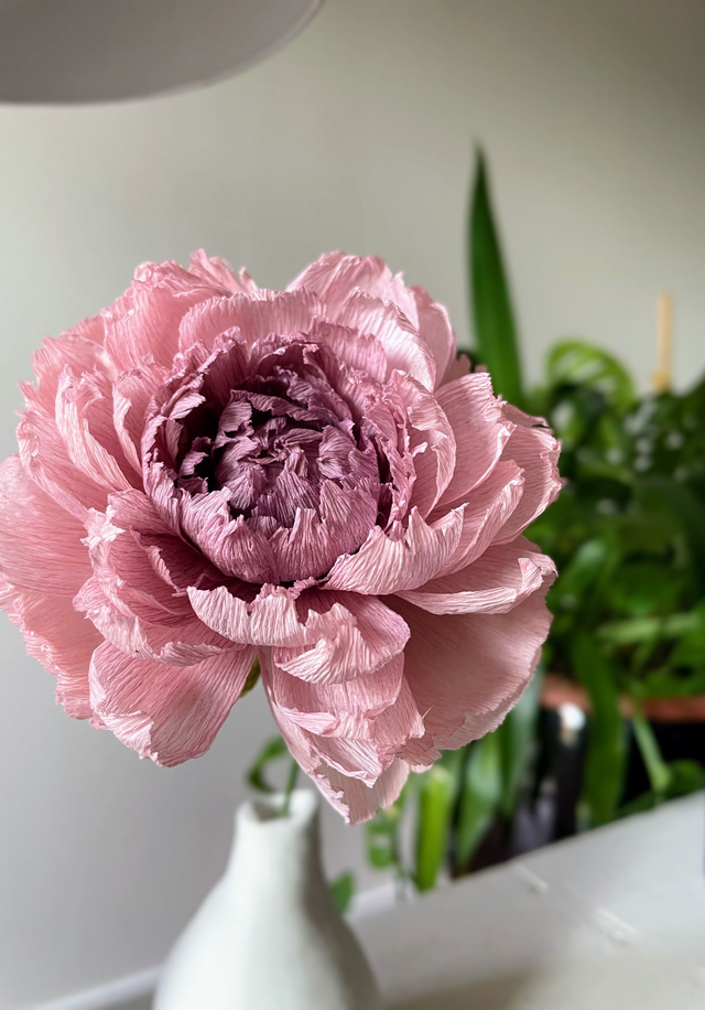 Pivoine &quot;Almaé&quot; avec son vase artisanal offert