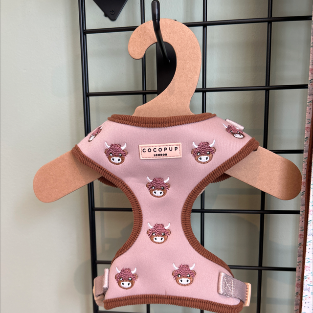 Harold highland cow harness 