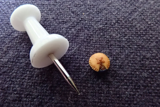 Meat Pie (1/48th scale)