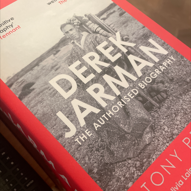 Derek Jarman Authorised Biography Tony Peake