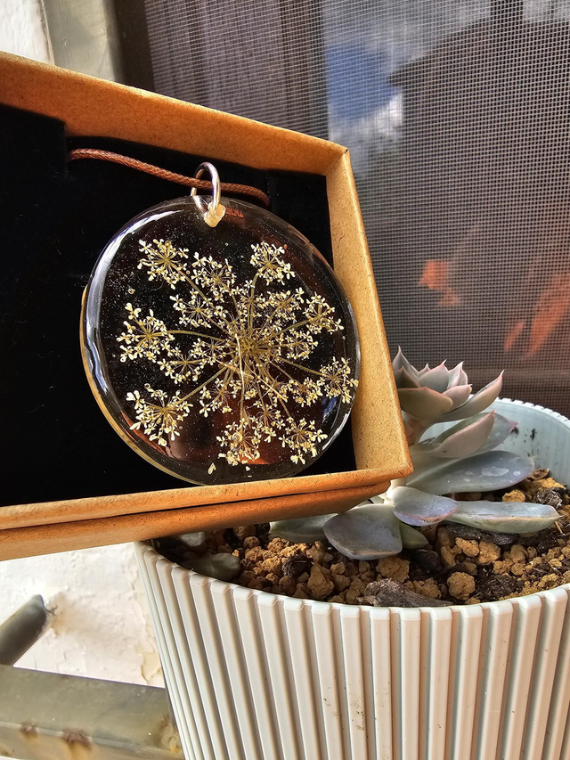 Medalhão Cenoura Selvagem 