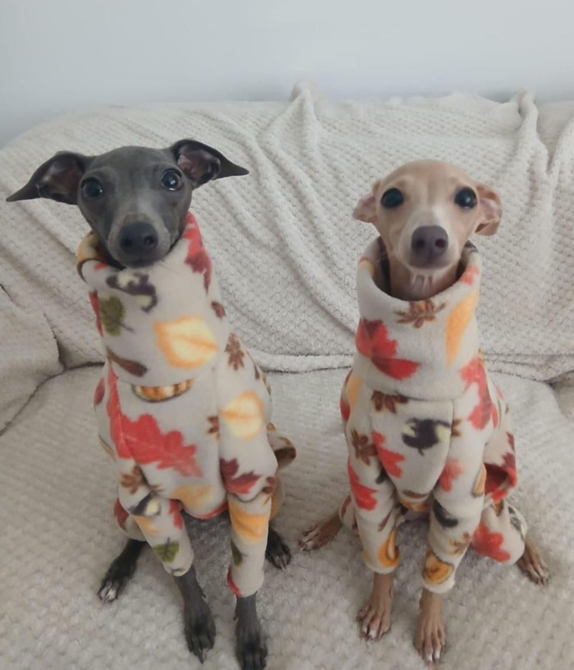 Patterned fleece iggy onesie