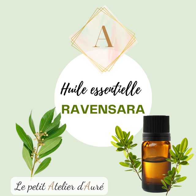 Huile essentielle de Ravensara 10ml