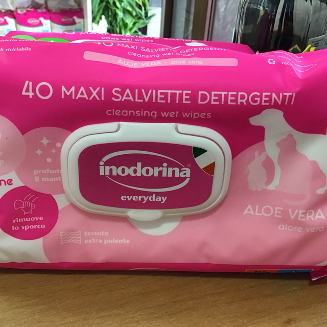 Inodorina 40 maxi salviette detergenti aloe vera 8031398000817