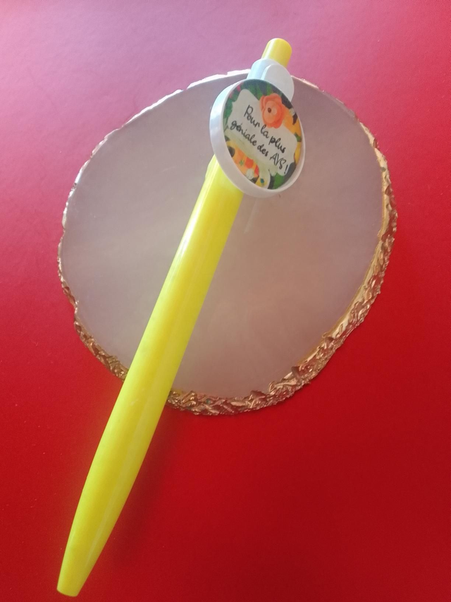 Pour la plus géniale des AVS