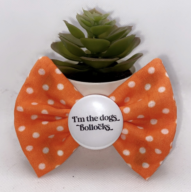 I’m the Dogs Boll**ks