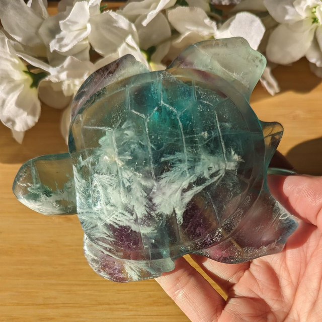 Feather Fluorite Turtle Carving 