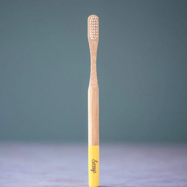 Sustainable Adult Toothbrush with Plant Based Bristles
