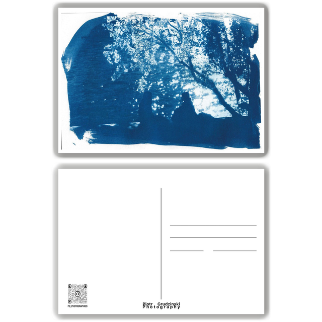 "Dialogue" - Cyanotype - carte postale A6